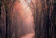 第2席4强出炉！罗伯逊6-3晋级，会师囧哥，塞尔.