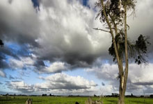 B体育官网：[足球之夜]20241019 国足18强赛首胜之后.