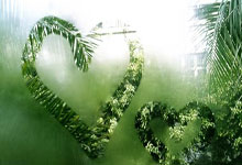 B体育官网:恭喜!美国排协官宣,郎平获得新身份.