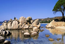 曾是中国女网一姐,32岁王蔷宣布结婚了九派新闻.